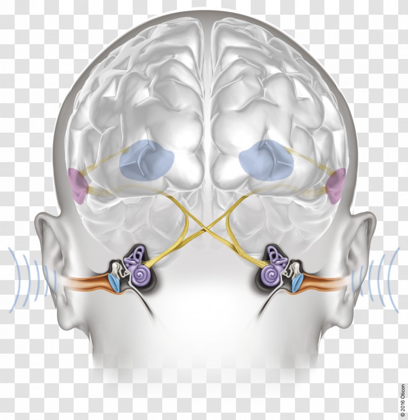 Hearing Aid Audiometry Oticon - Flower - Ear Transparent PNG