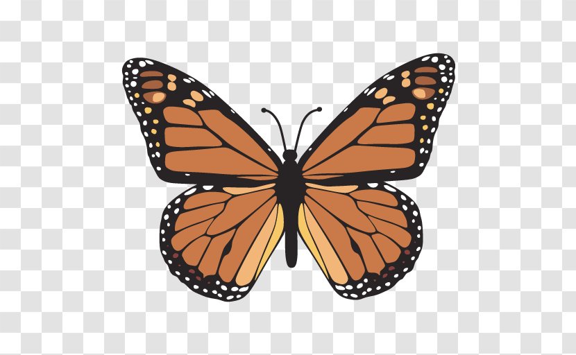The Monarch Butterfly Drawing Clip Art - Flower Transparent PNG