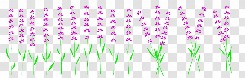 Shower Toto Plant Stem Violet Leaf Transparent PNG