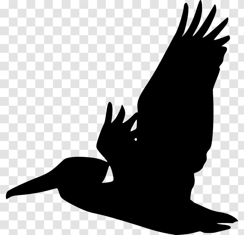 Pelican Bird Silhouette Clip Art - Wing - Man In Black Transparent PNG