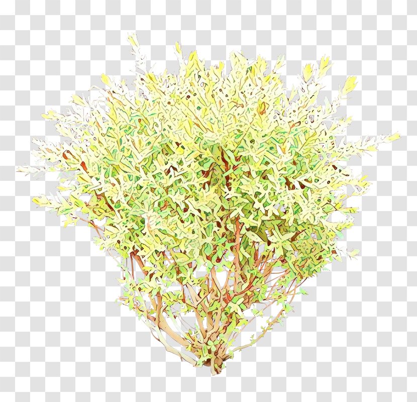 Grass Flower - Shrub - Perennial Plant Aquarium Decor Transparent PNG