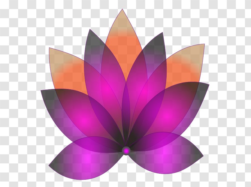 Lily Flower Cartoon - Purple - Magenta Water Transparent PNG