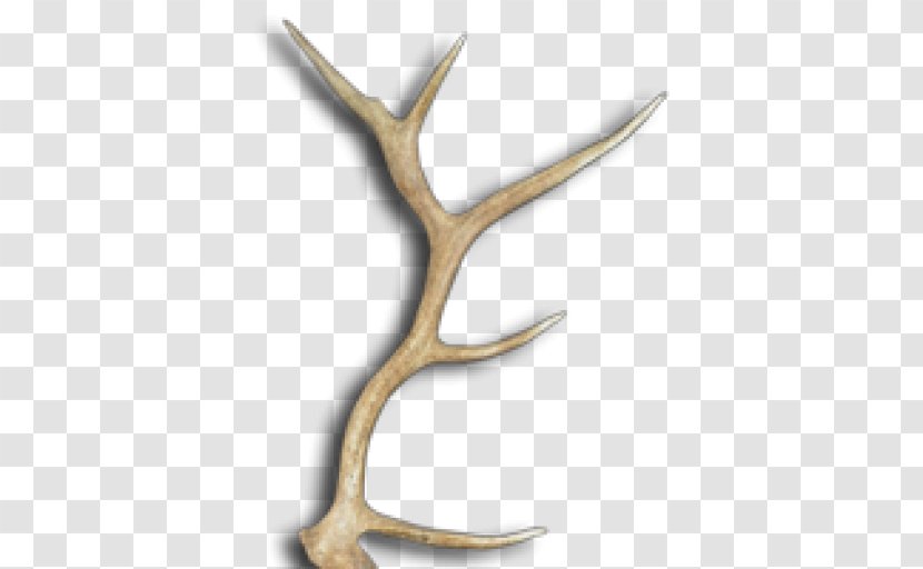 Antler Deer Moose Elk Drawer Pull - Sconce Transparent PNG
