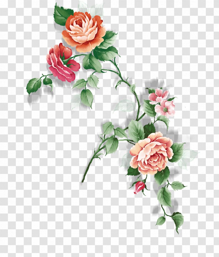 Garden Roses Rosa Chinensis Centifolia Flower - Watercolor Flowers Transparent PNG