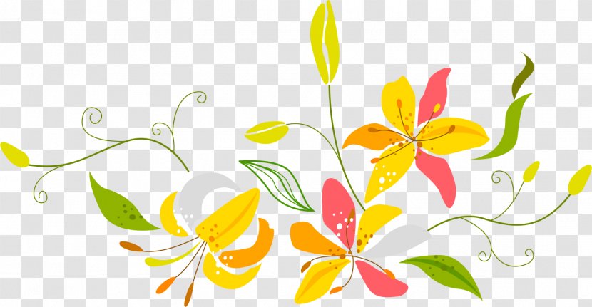 Magnolia Flower Pattern Material - Petal - Flowering Plant Transparent PNG