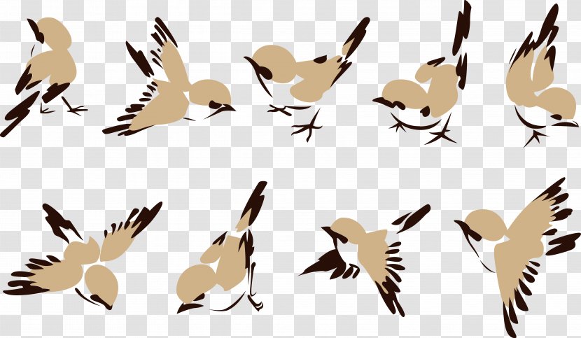 House Sparrow Bird Clip Art - Carnivoran - Ink Pen Jane Little Sparrow. Transparent PNG