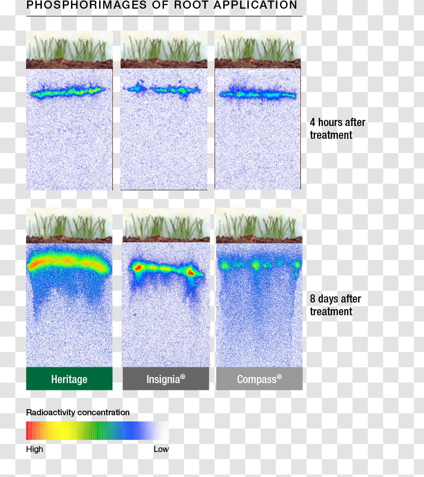 Water Resources Line Angle - Lawn Transparent PNG