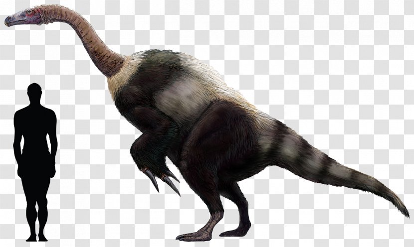 Tyrannosaurus Saltopus Giganotosaurus Bird Dinosaur - Gansu Transparent PNG