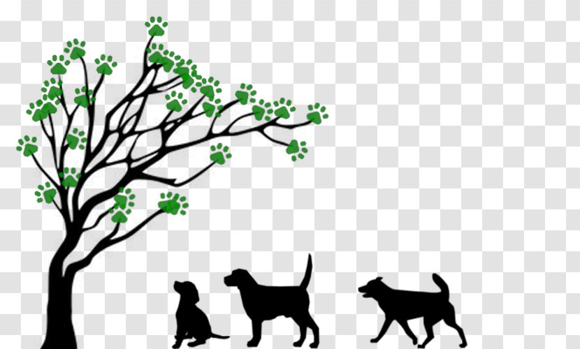 Tree Drawing Branch Clip Art - Horse Like Mammal Transparent PNG