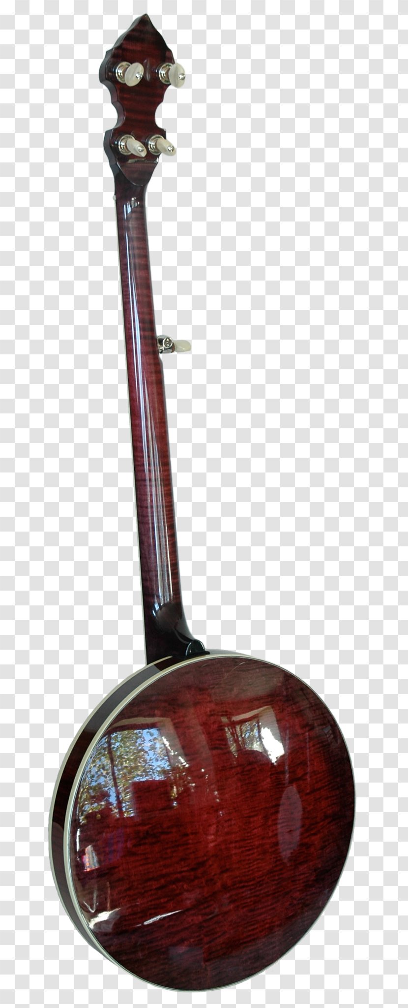 Surbahar Musical Instruments Banjo Musician Tanbur - Tree Transparent PNG