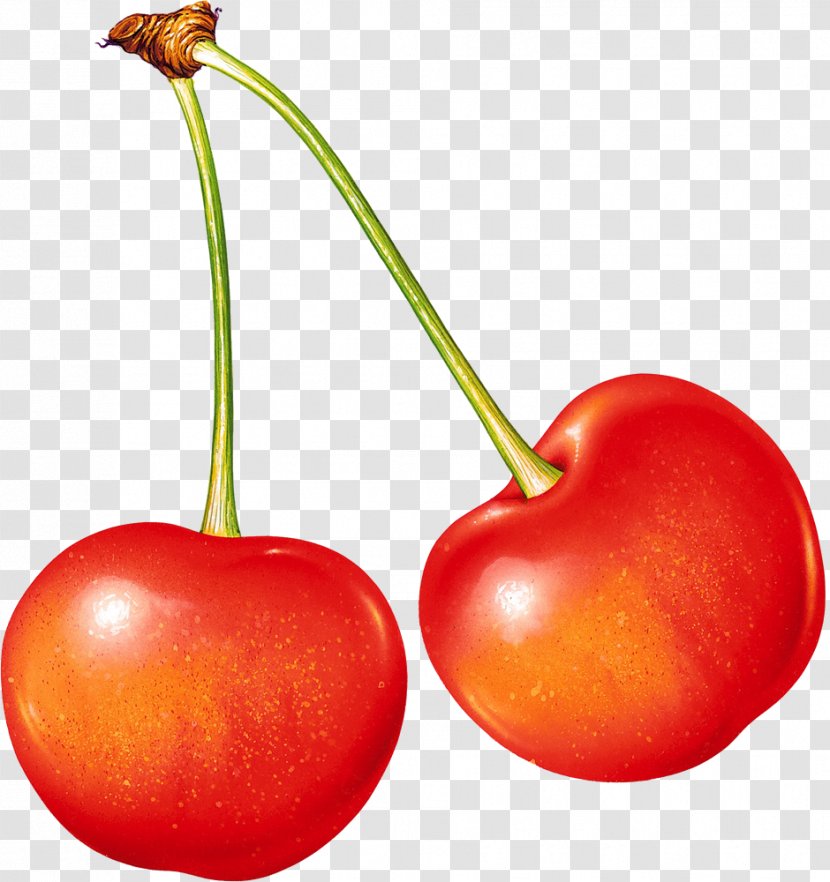 Sweet Cherry Cerasus Clip Art - Pear Transparent PNG