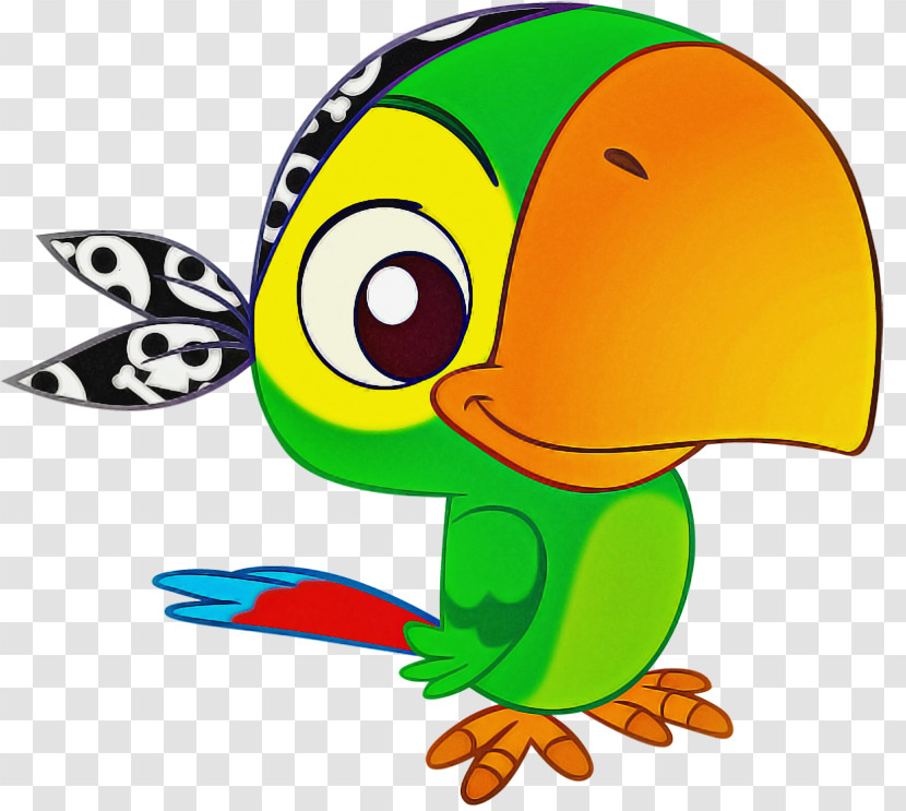 Cartoon Bird Animal Figure Beak Piciformes Transparent PNG