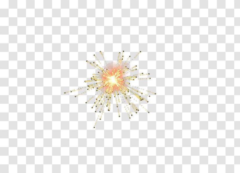 Animation Fireworks Photography Internet Digital Image - Petal - Scenery Transparent PNG