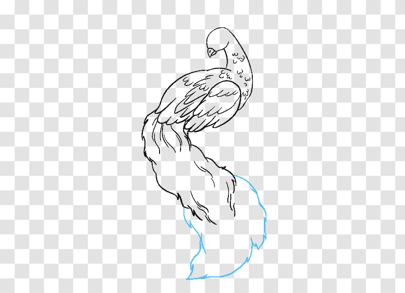 Drawing Pavo Line Art Sketch - Heart - Curved Branch Transparent PNG