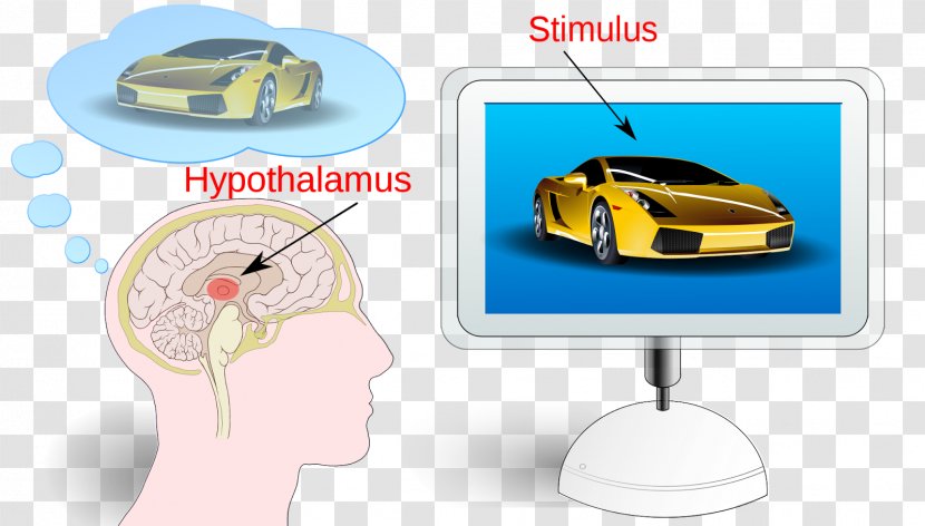 Neuromarketing Consumer Concept Advertising - Neuroscience - Marketing Transparent PNG