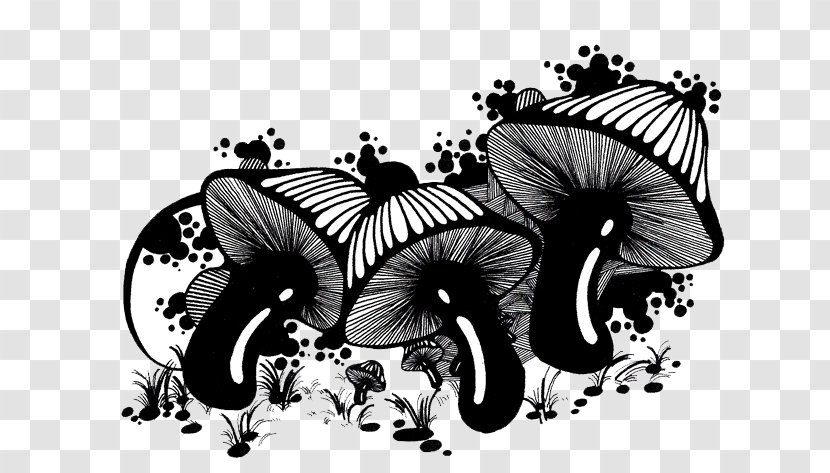 Black And White Mushroom - Moths Butterflies - Mushrooms Transparent PNG