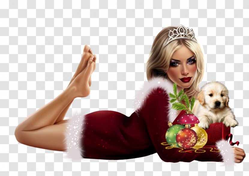 Mrs. Claus Christmas Woman Santa Gift - New Year Transparent PNG