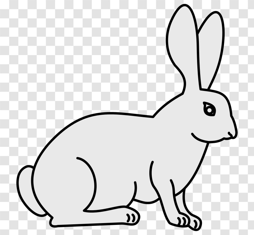 New Zealand Rabbit White Domestic Animal - Vertebrate - Illustrations Transparent PNG