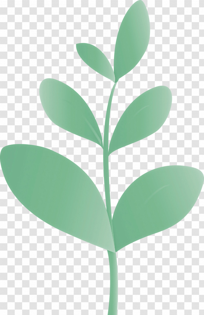 Sprout Bud Seed Transparent PNG