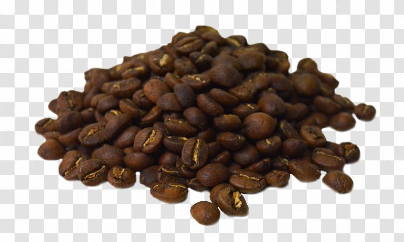 Espresso Jamaican Blue Mountain Coffee Kona Bean - One Love - Beans Transparent PNG
