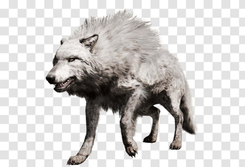Far Cry Primal PlayStation 4 Gray Wolf - Playstation - White Transparent PNG