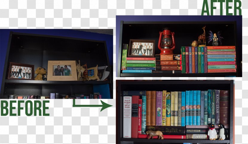 Shelf Bookcase Library Window - Tree Transparent PNG
