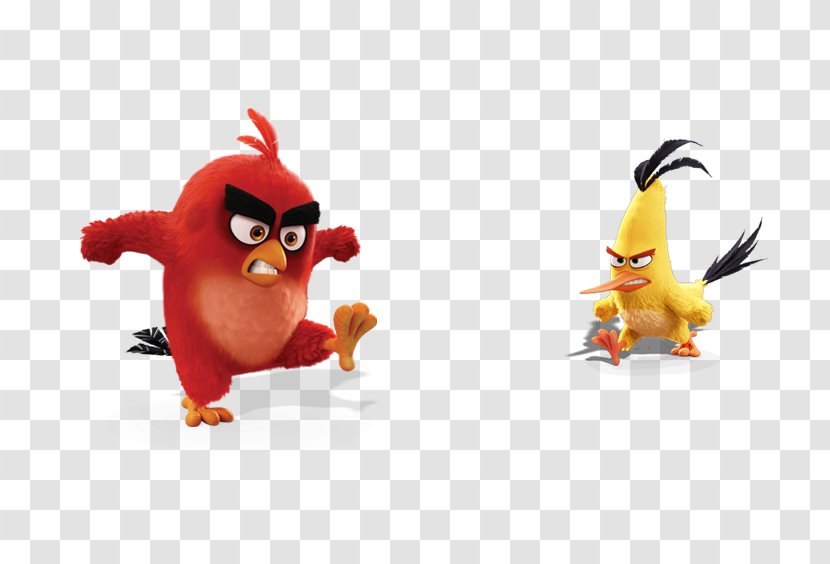 Anger Animation - Kens - Angry Chick Transparent PNG