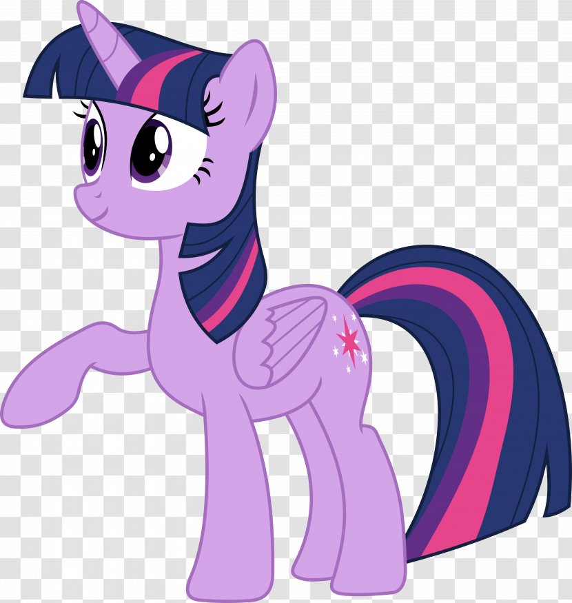 Twilight Sparkle Rainbow Dash Rarity Pinkie Pie Pony - Color - My Little Transparent PNG