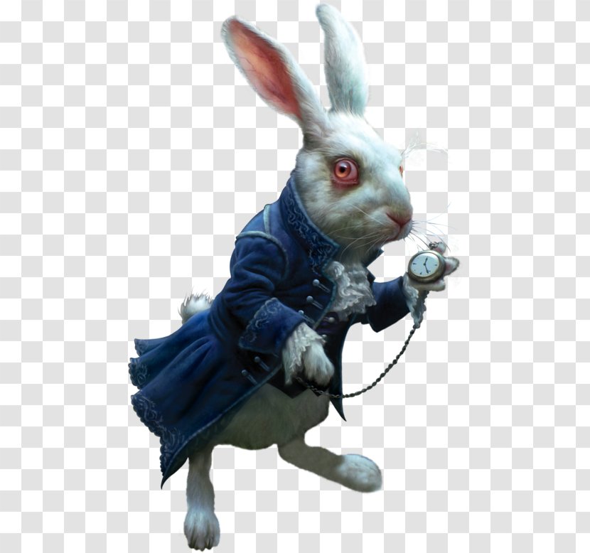 White Rabbit Alice's Adventures In Wonderland The Mad Hatter Cheshire Cat - Alice Png Transparent PNG