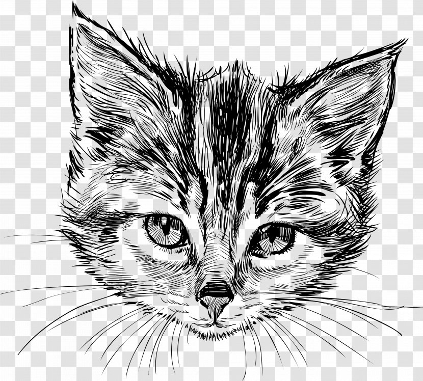 Cat Kitten Drawing - Visual Arts Transparent PNG