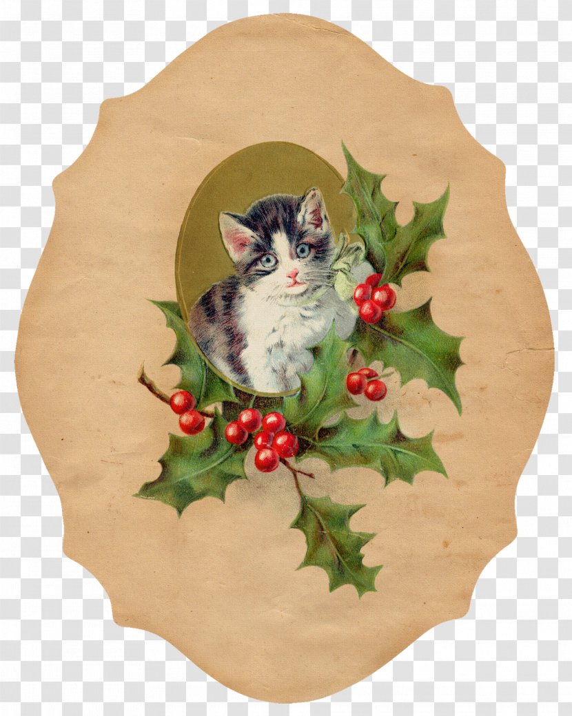Cat Kitten Christmas Ornament Clip Art - Vintage Label Transparent PNG