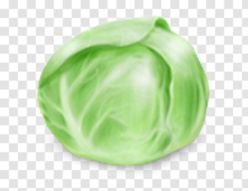 Cabbage Vegetable Food - Green Transparent PNG