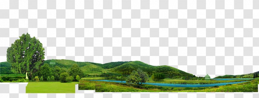 Landscape Web Browser - Grass Transparent PNG