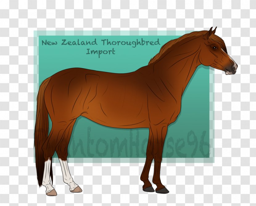 Mane Mustang Stallion Foal Mare - Sorrel Transparent PNG