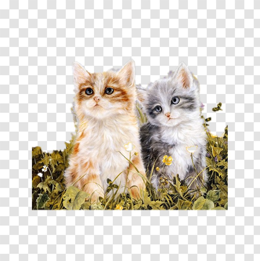 Oil Painting Reproduction Cat Kitten Paint By Number - In Flowers Transparent PNG