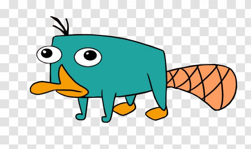 Perry The Platypus Ferb Fletcher Phineas Flynn Vanessa Doofenshmirtz - Wing Transparent PNG