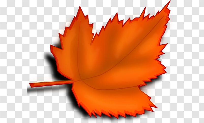 Desktop Wallpaper Autumn Leaf Color Clip Art - Plant Transparent PNG