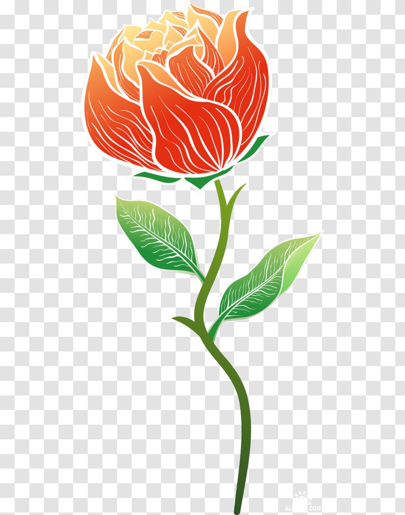 Garden Roses Cut Flowers Clip Art - Rar - Flower Transparent PNG
