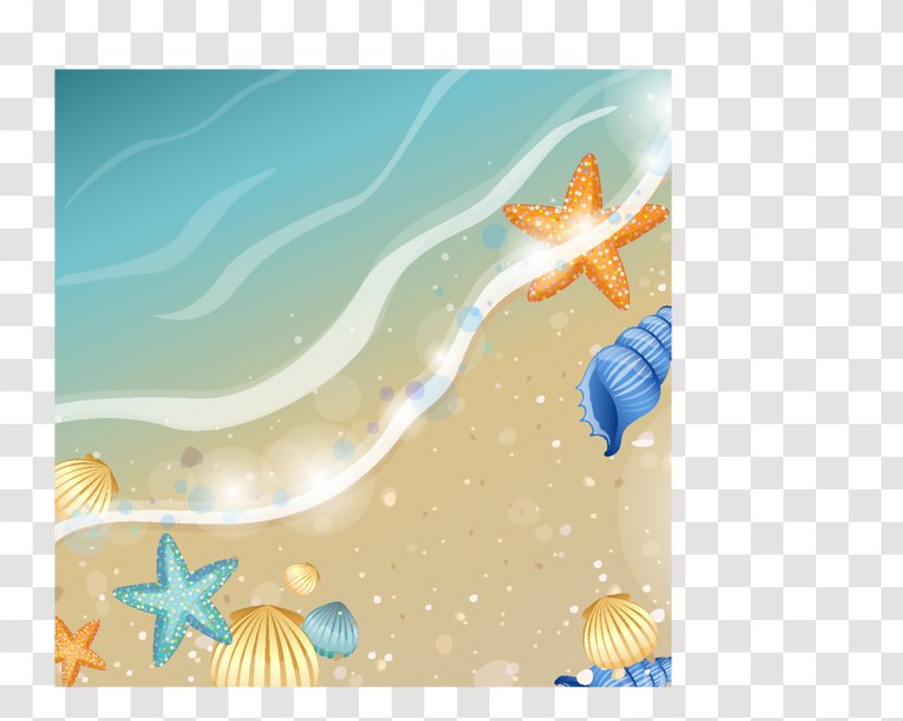 Photography Beach Desktop Wallpaper Clip Art - Fish Transparent PNG