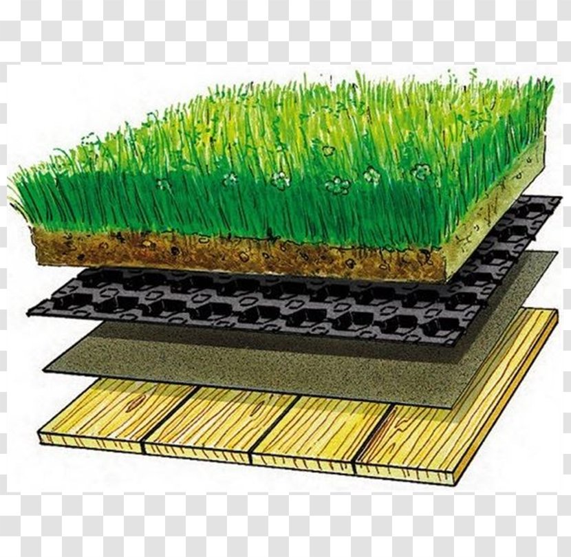 Sod Roof Green Dachdeckung Drainage - Platon Transparent PNG