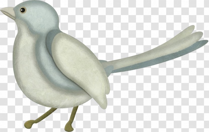 Bird Adobe Photoshop Image Typical Pigeons - Figurine Transparent PNG