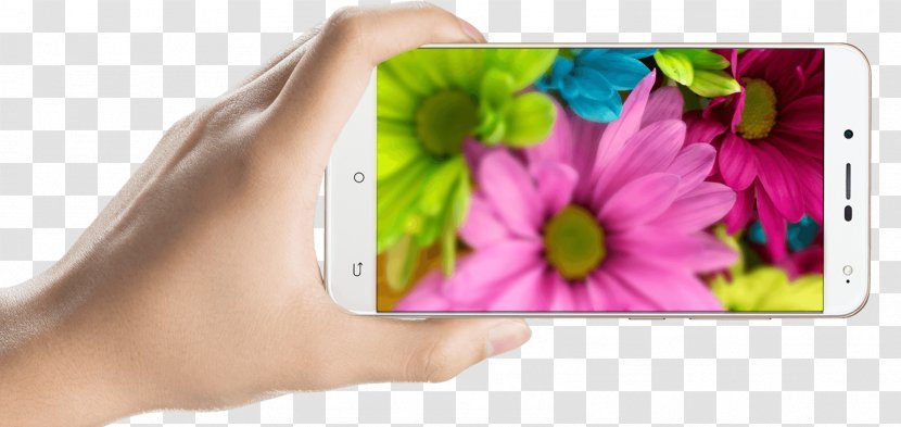 Cubot Colour Your Life Droid 2 Android Smartphone - Petal - Dazzle Light Transparent PNG