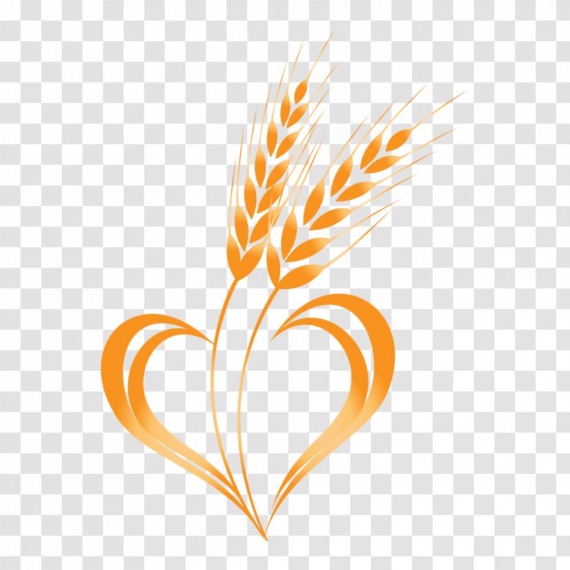 Wheat Clip Art - Commodity - Logo Transparent PNG