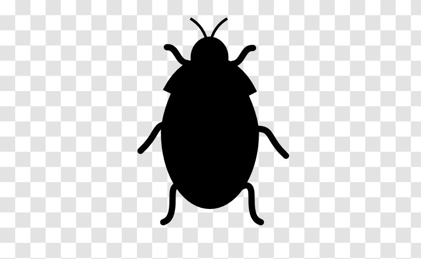 Computer Security Vulnerability Software Bug - Invertebrate - Insect Transparent PNG