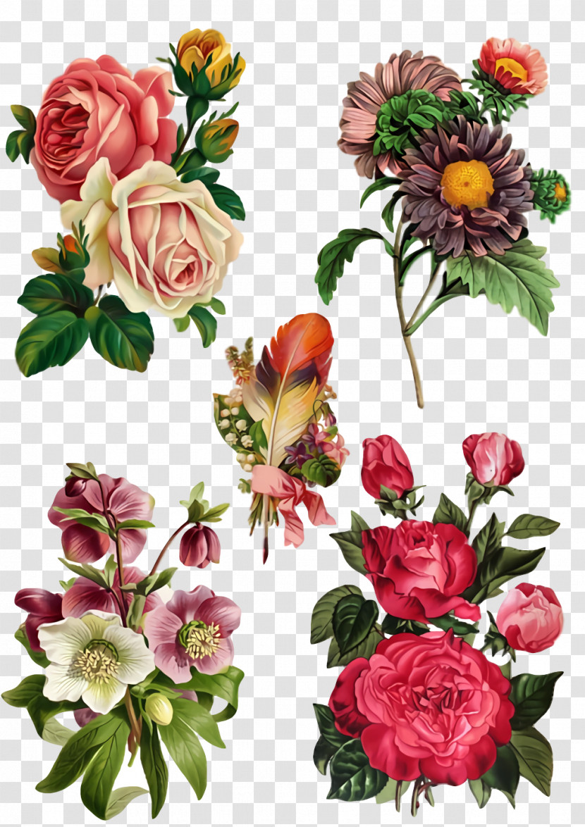 Garden Roses Transparent PNG