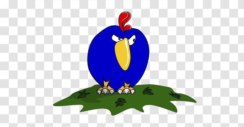 Chicken Rooster Cartoon Clip Art - Chick Transparent PNG
