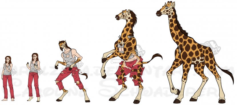 Giraffe Cheetah Animal DeviantArt - Hoof Transparent PNG