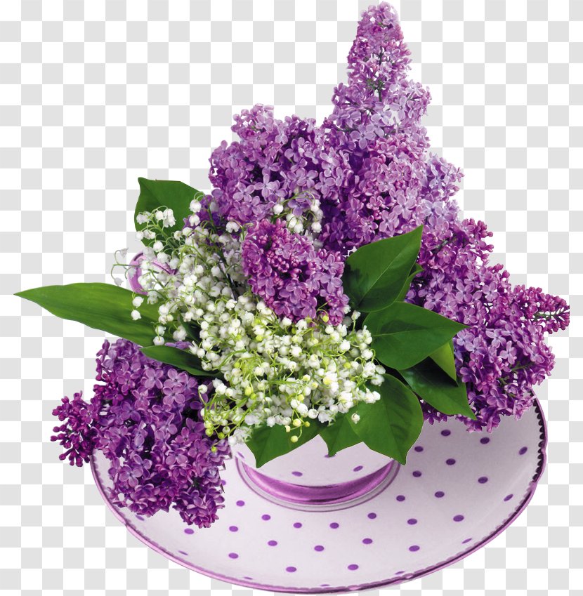 Common Lilac Lily Of The Valley Flower Garden Transparent PNG