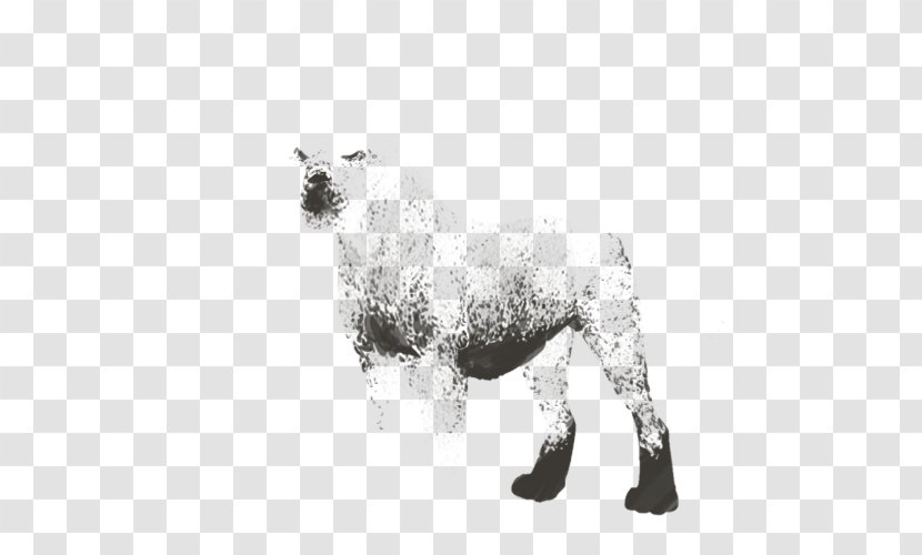 Dog Breed Sheep - Cow Goat Family Transparent PNG