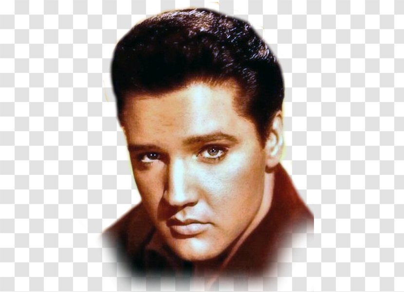 Elvis [Tribute To Presley, Pioneer And King] Bossa Nova Baby (Alternate Take 2) Sings... Album - Tree - Powerade Drink Mix Transparent PNG
